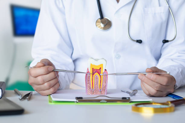 Best Emergency Root Canal Treatment in Buhler, KS